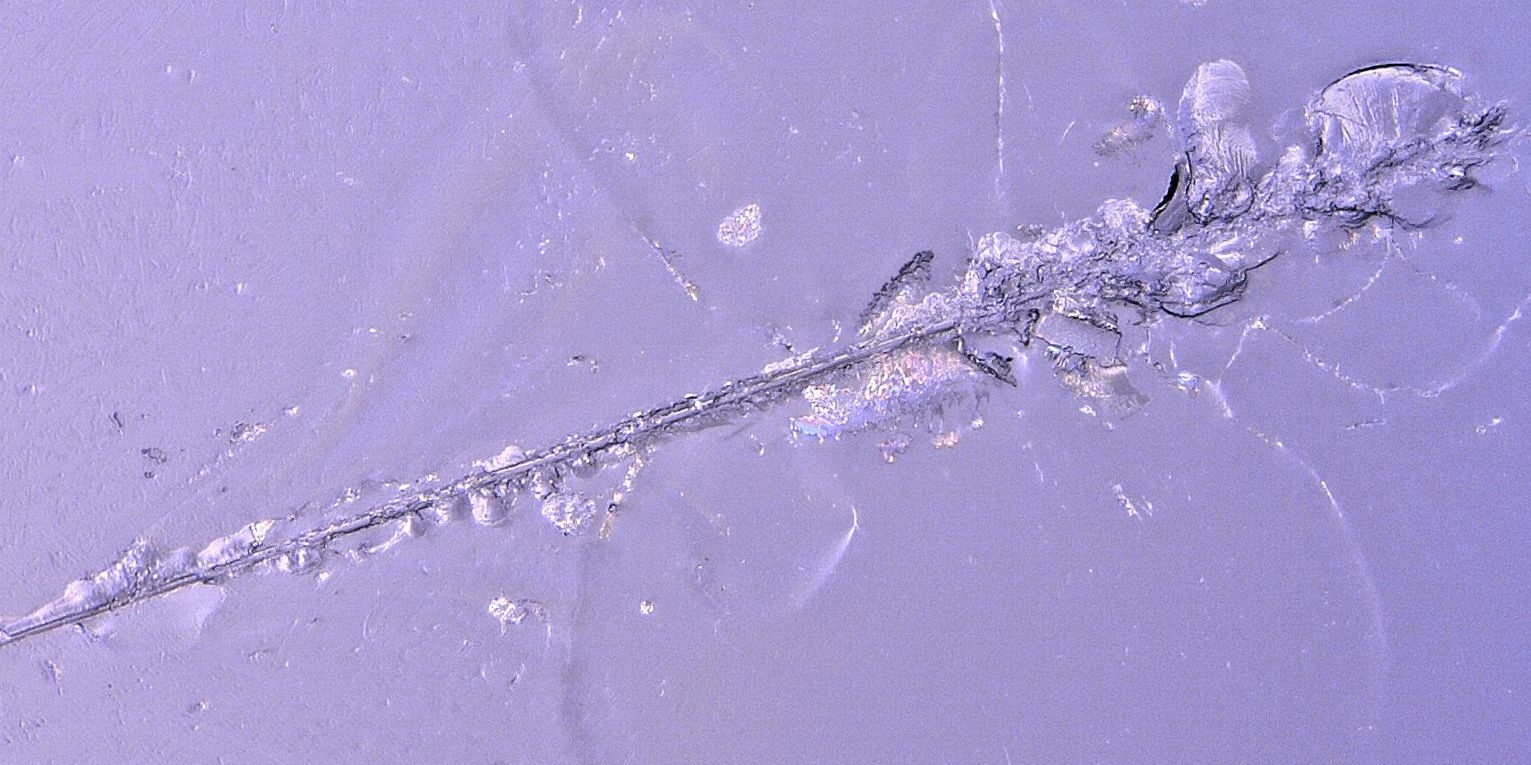 Ansätze für widerstandsfähigere Glasoberflächen 