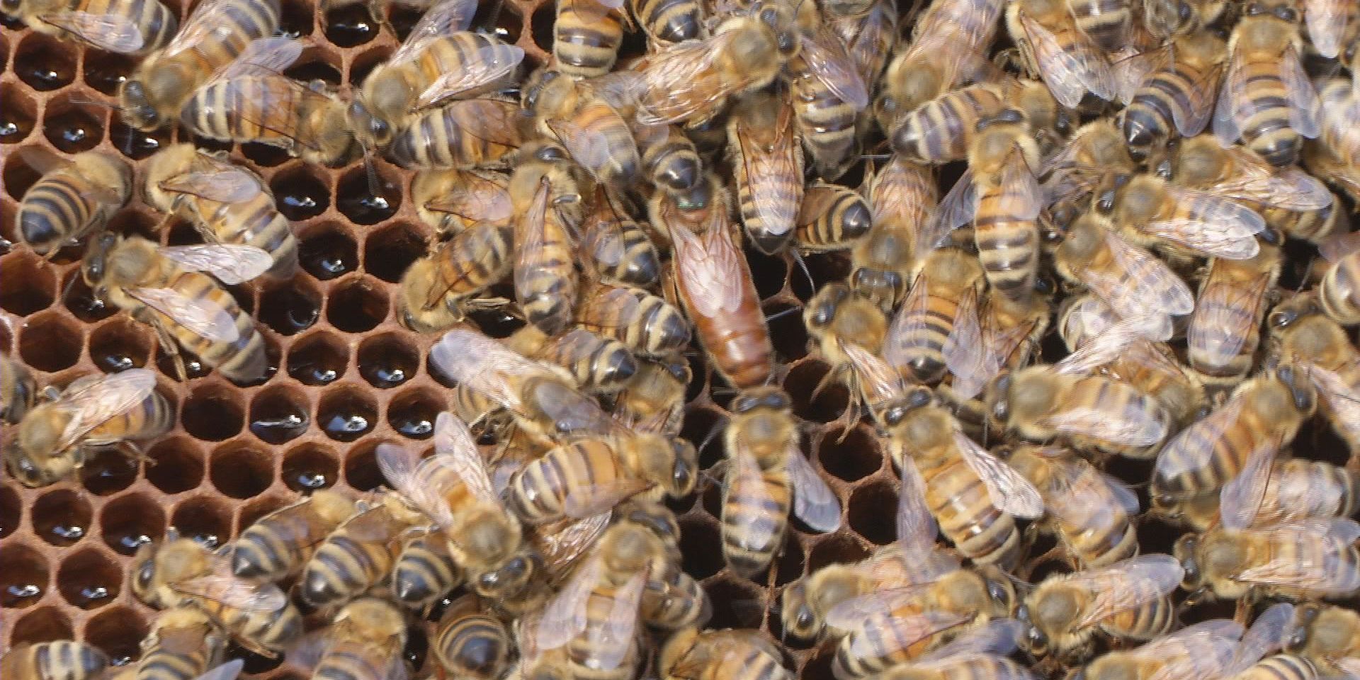 Kinder-&Jugend-Umweltpreis ausgelobt