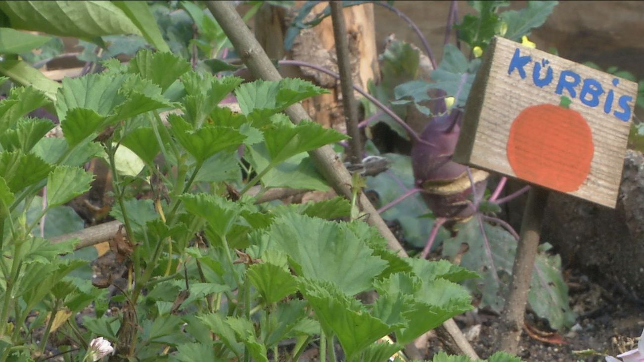 Thüringer Bio-Preise verliehen 