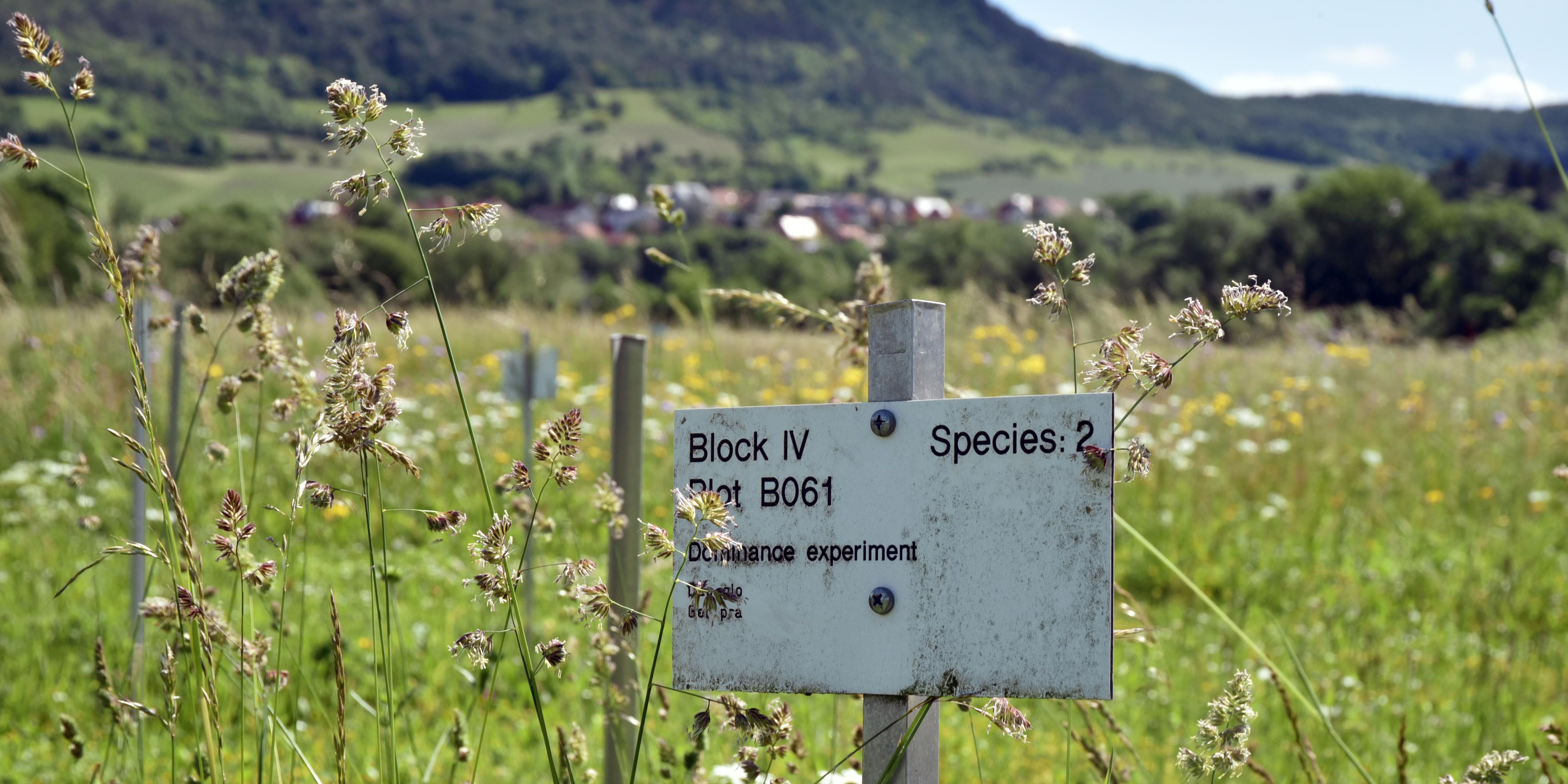 Internationale Konferenz: Ökologie und Informatik 