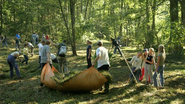 Freiwilligentag: Noch viele Helfer gesucht