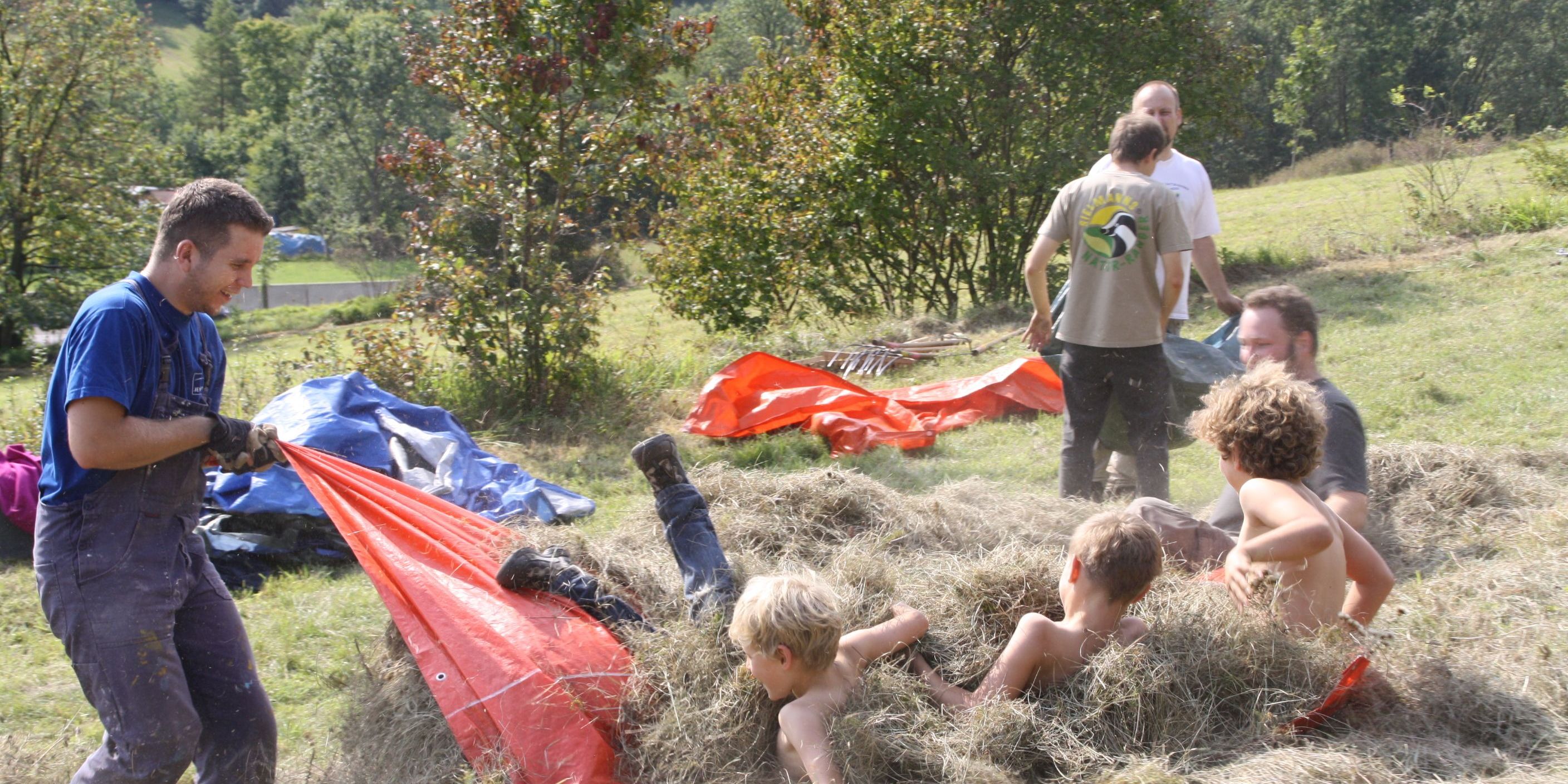 Wiesenputz zum Orchideenschutz