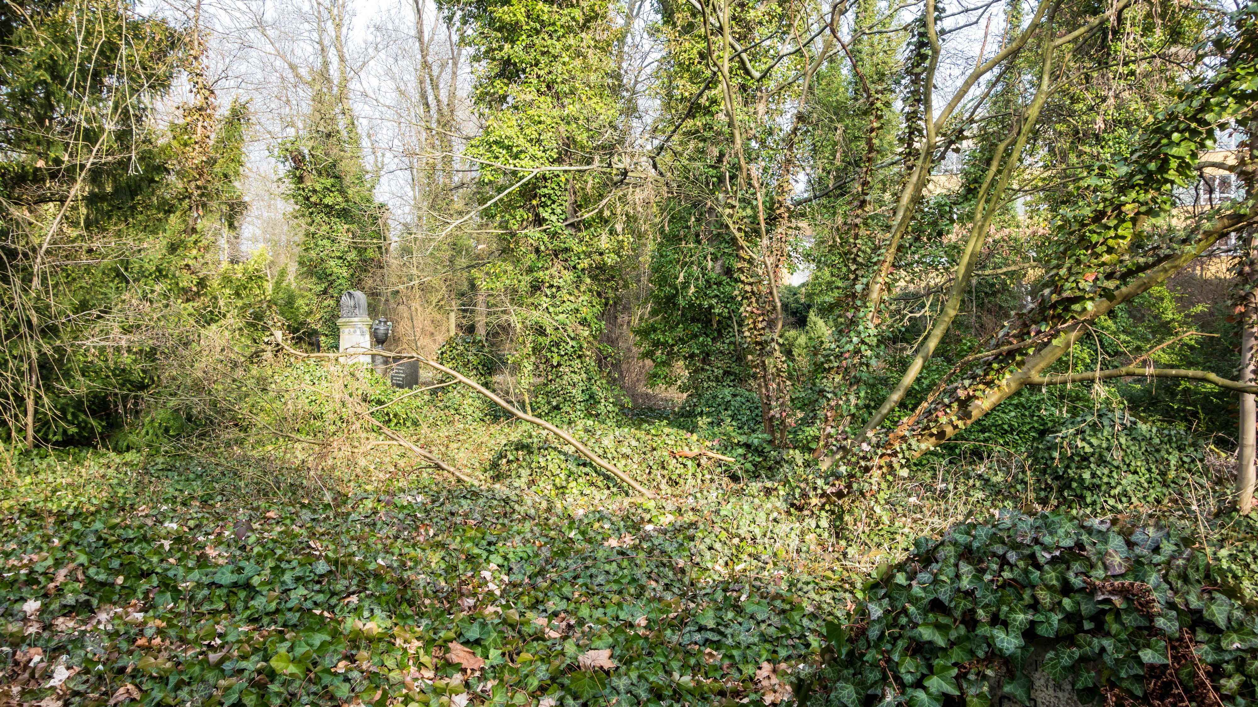 Arbeitseinsatz auf dem Johannisfriedhof