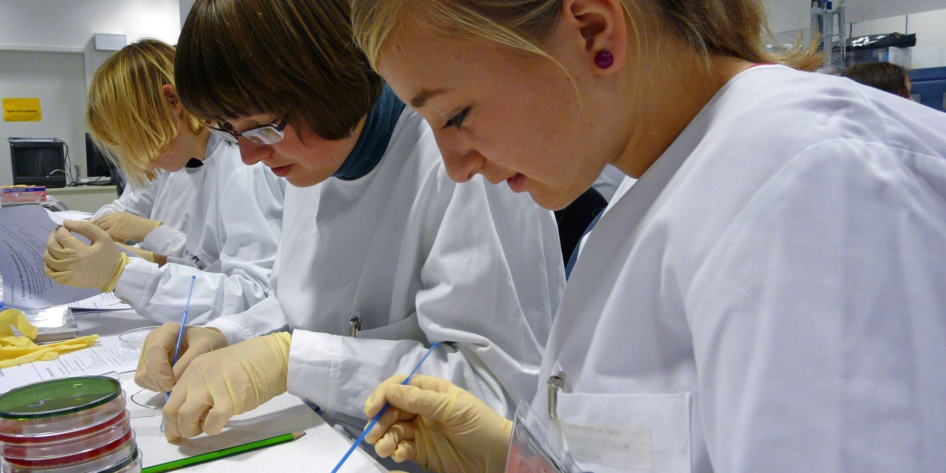 Herbstferien mit Pipette und Skalpell 