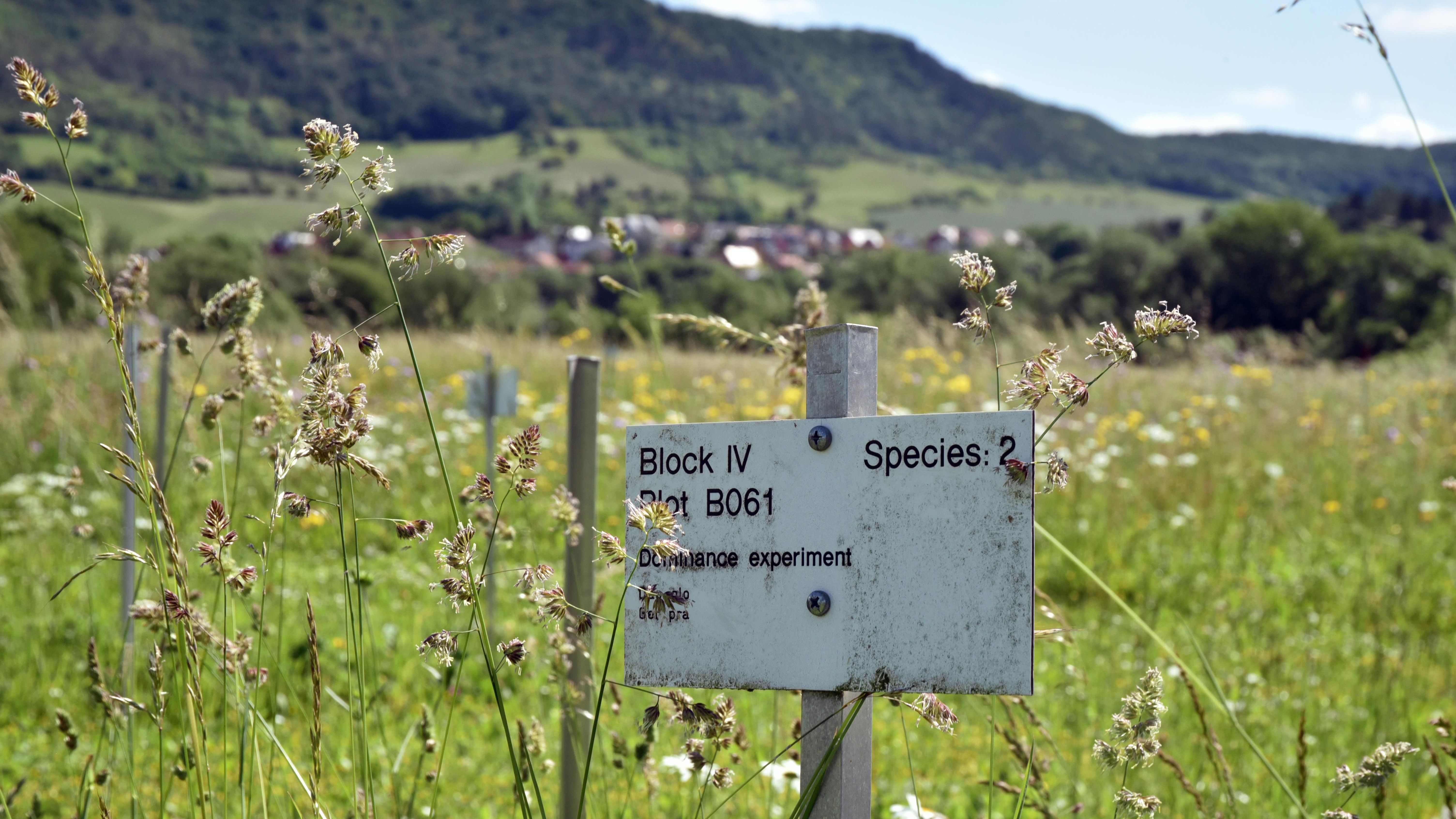 Internationale Konferenz: Ökologie und Informatik 