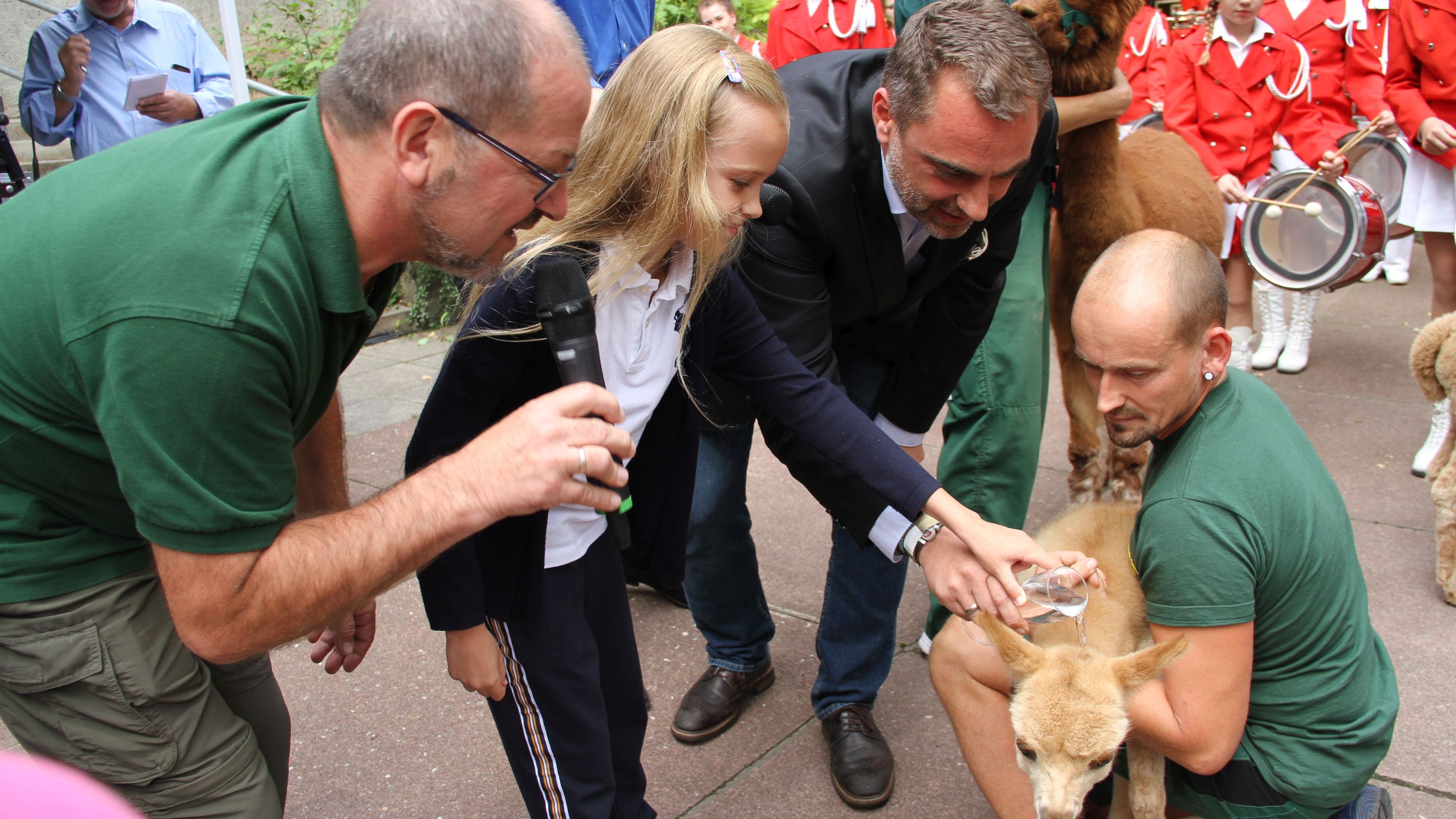 6 000 Besucher bei Tierpark- und Dahlienfest in Gera