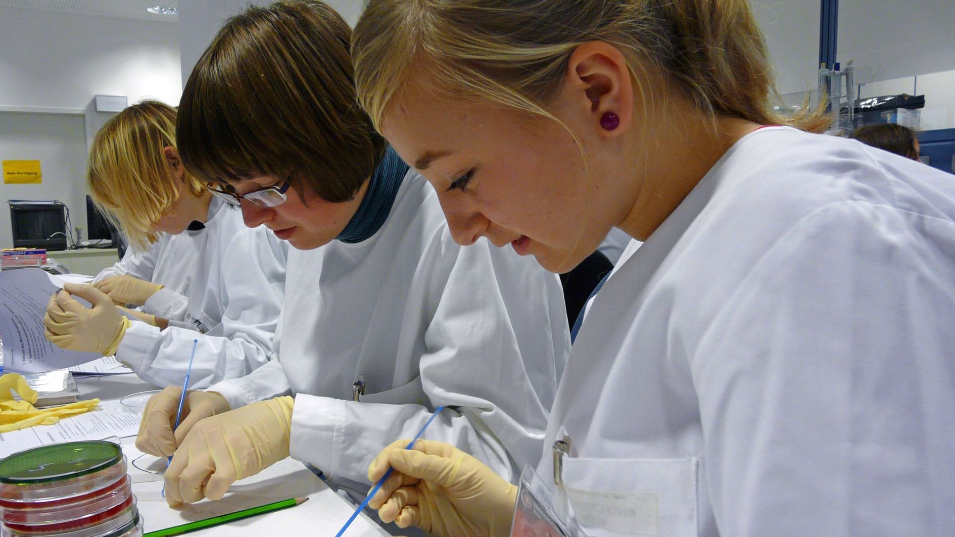 Herbstferien mit Pipette und Skalpell 