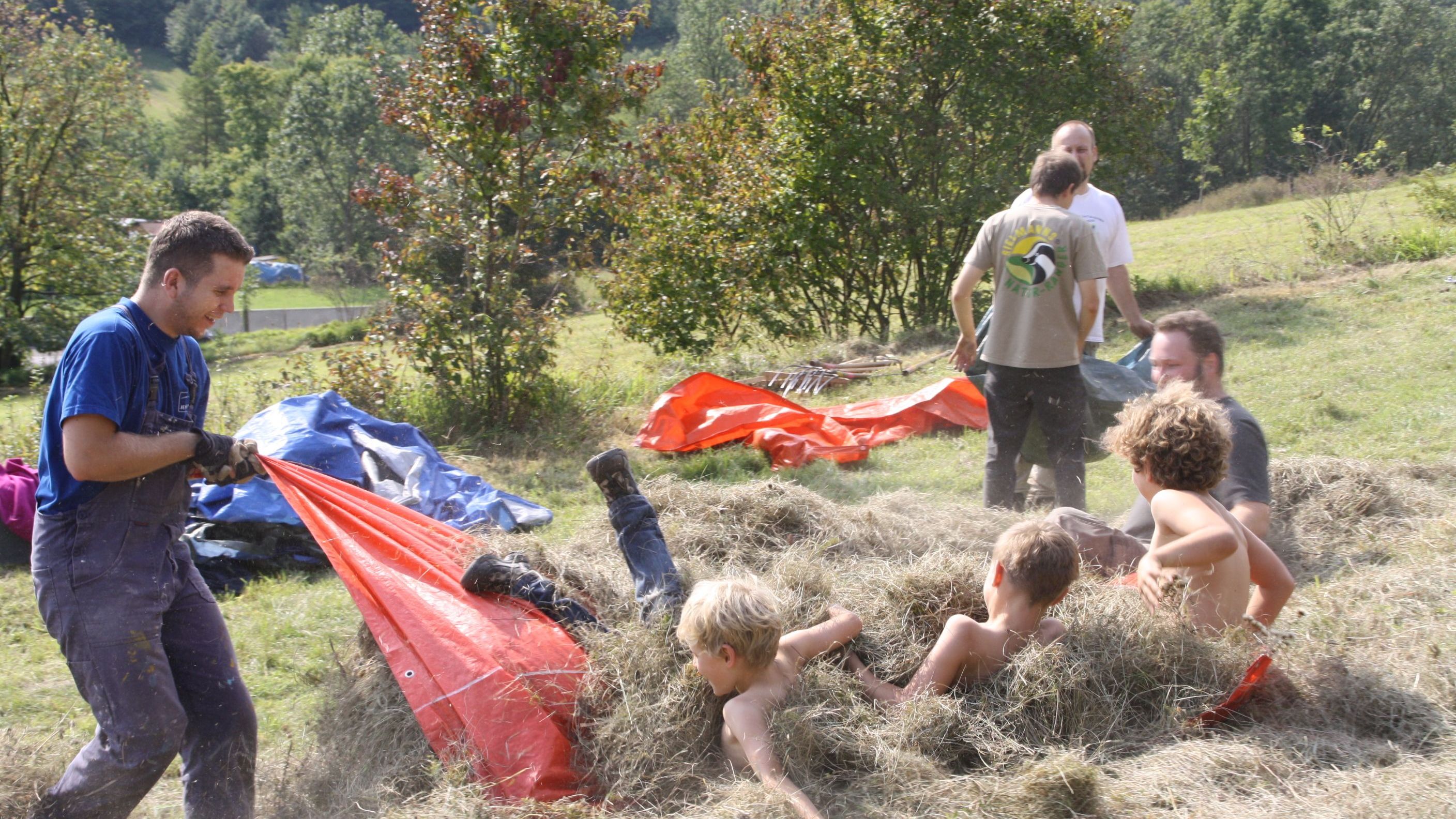 Wiesenputz zum Orchideenschutz