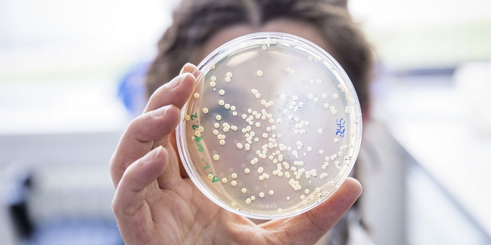 Gemeinsam stark gegen Infektionen