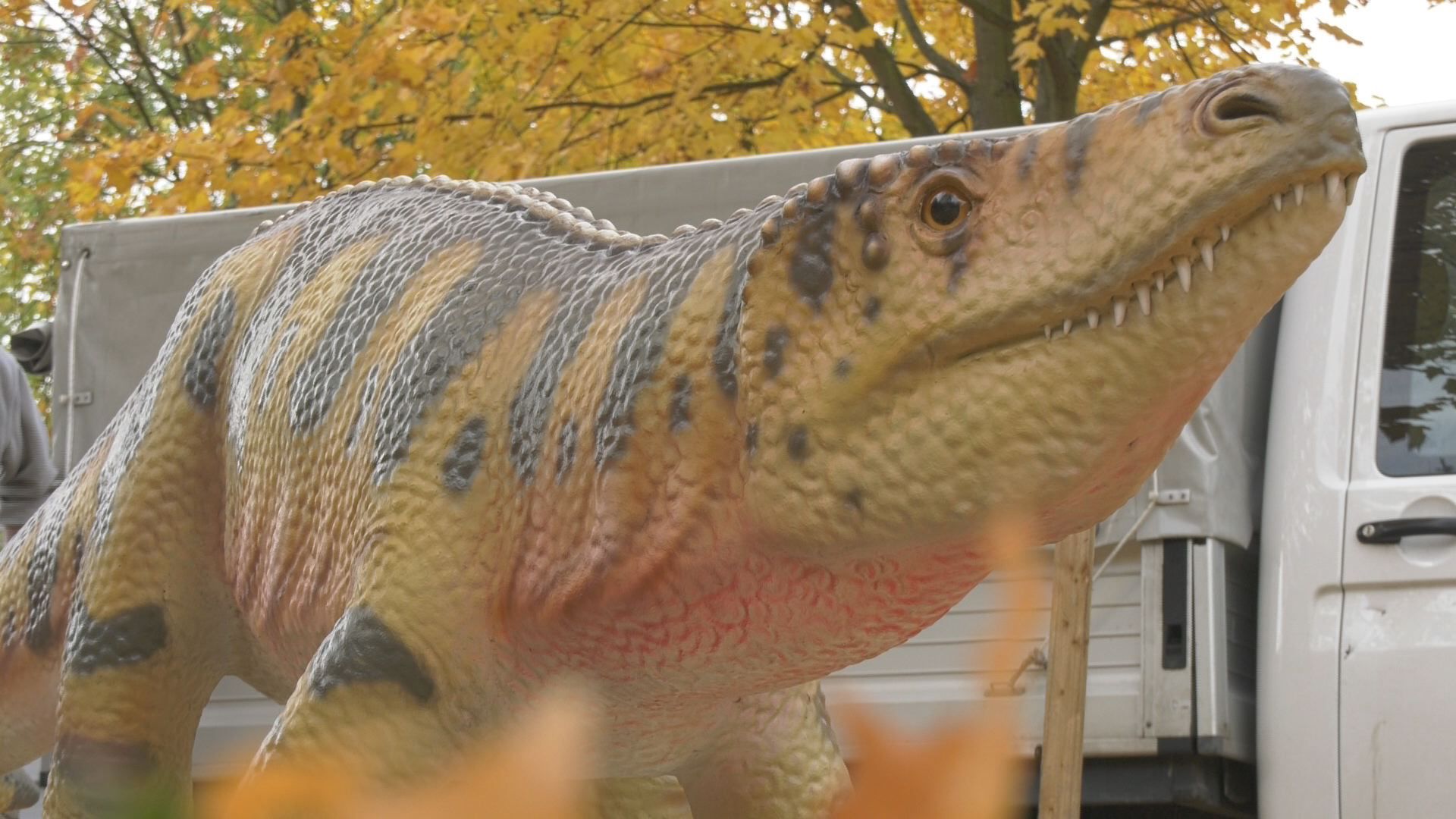 Saurier am Jenzig: Ab 26. Oktober werden Wanderer in längst vergangene ...
