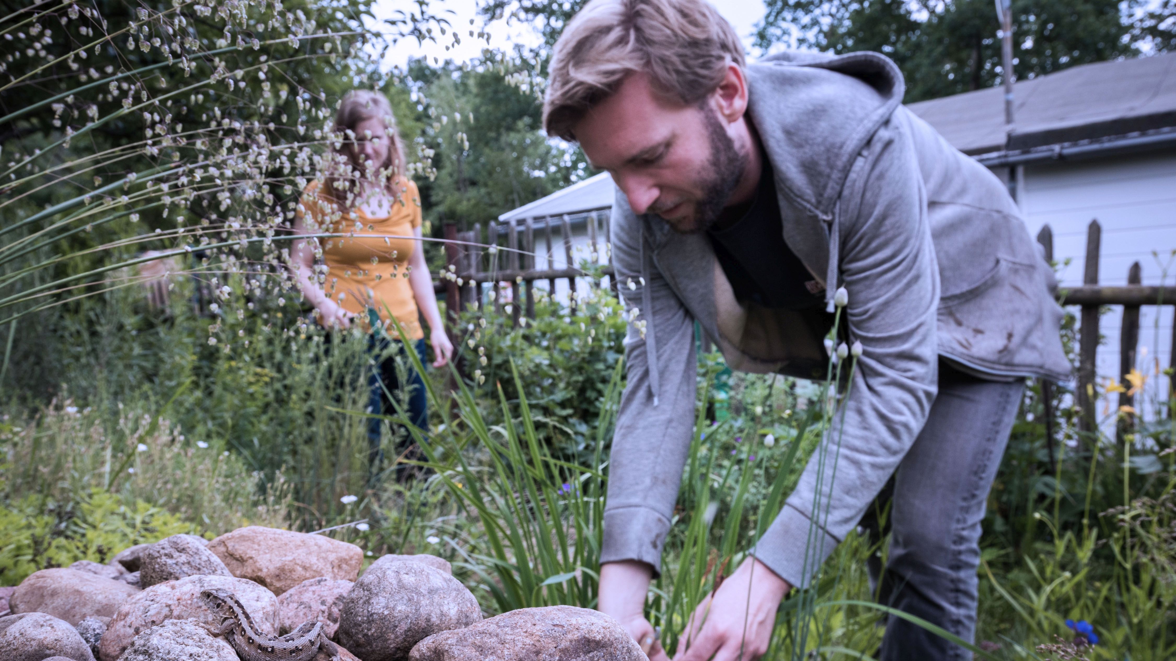 Garten im Herbst: An Tiere denken