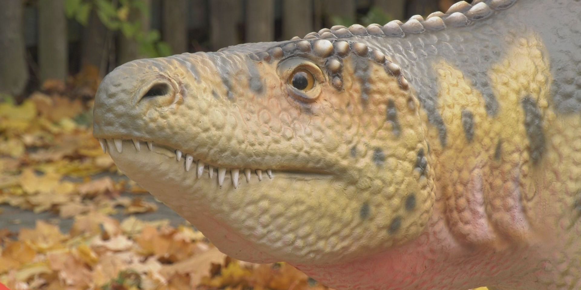 Saurierpfad wird am 26. Oktober eröffnet Saurierpfad wird am 26. Oktober eröffnet