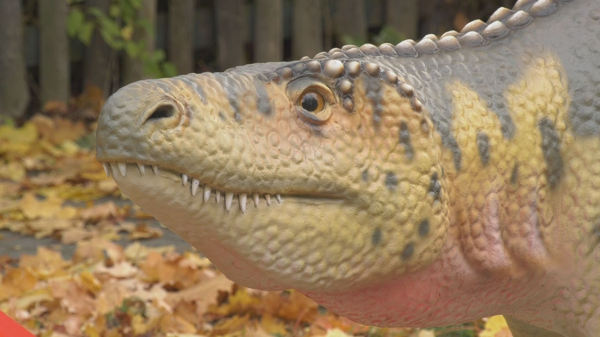 Saurierpfad wird am 26. Oktober eröffnet