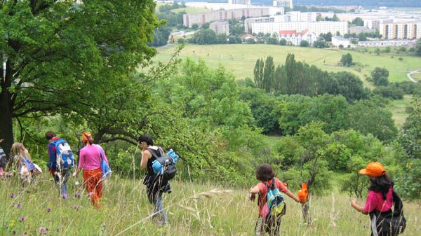 4. Obstwein-Wanderung im Reinstädter Grund