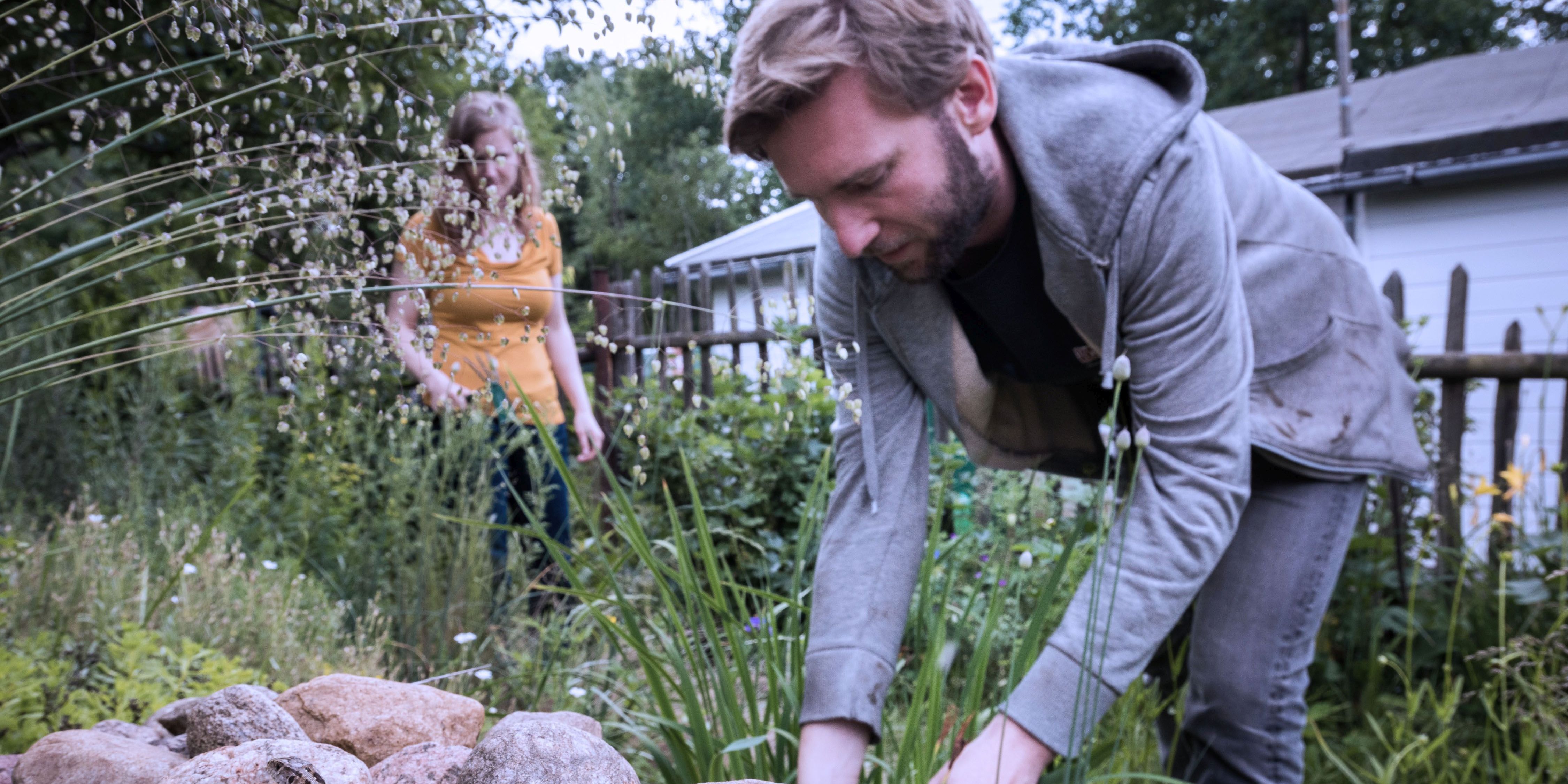 Garten im Herbst: An Tiere denken