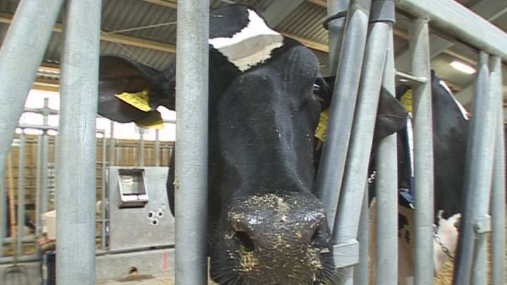 Beste Azubis ausgezeichnet  