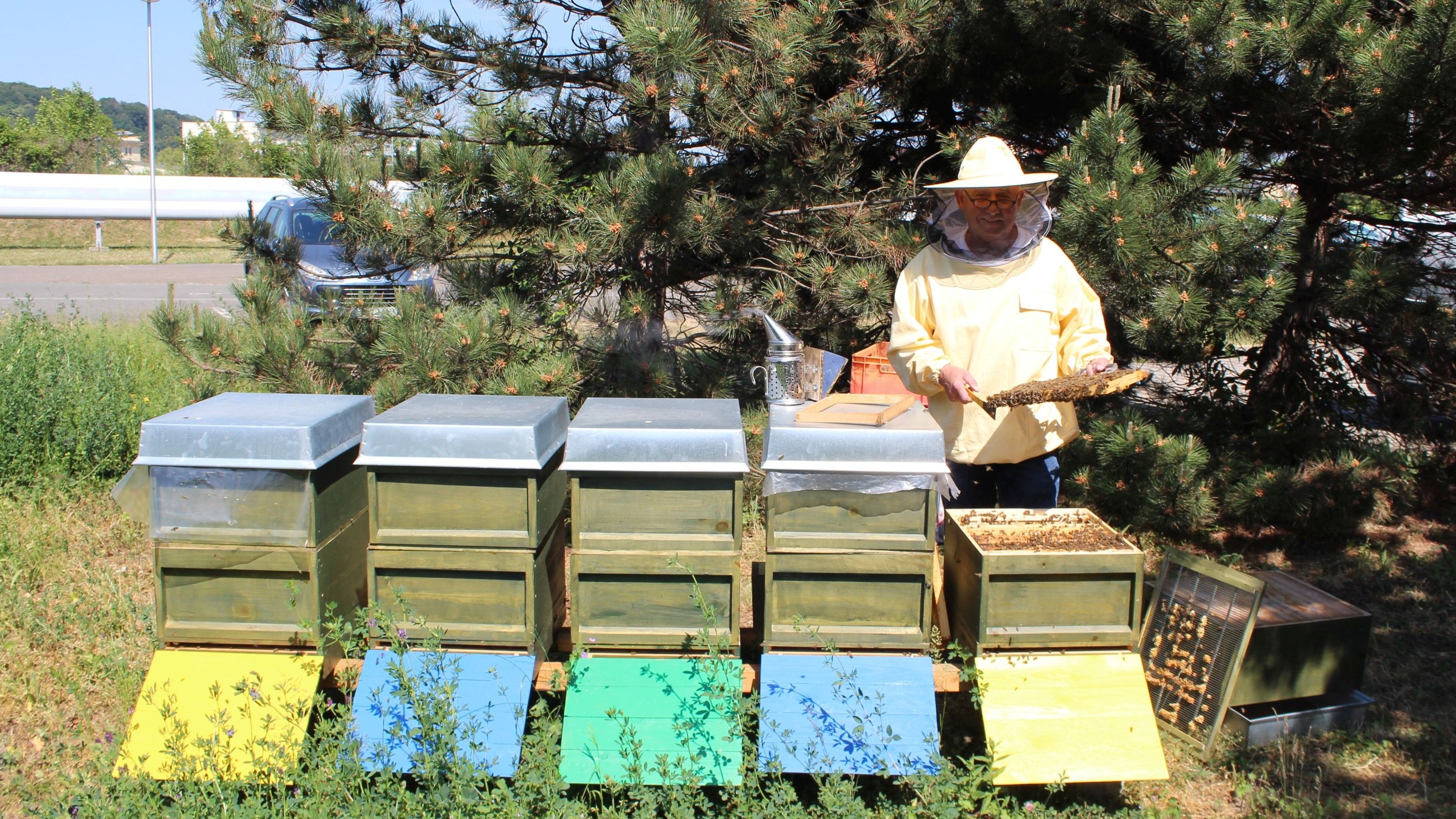 EGG als „Thüringer Bienenfreund 2018“ ausgezeichnet  