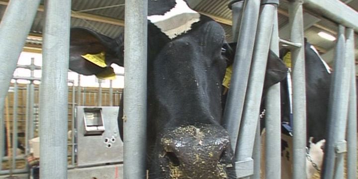 Beste Azubis ausgezeichnet  