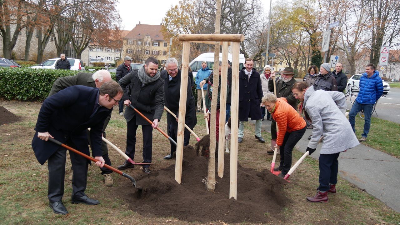 Bäume als Denkmal gepflanzt