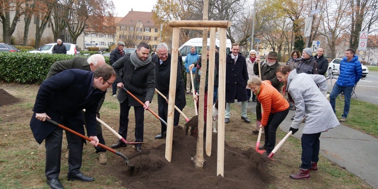 Bäume als Denkmal gepflanzt