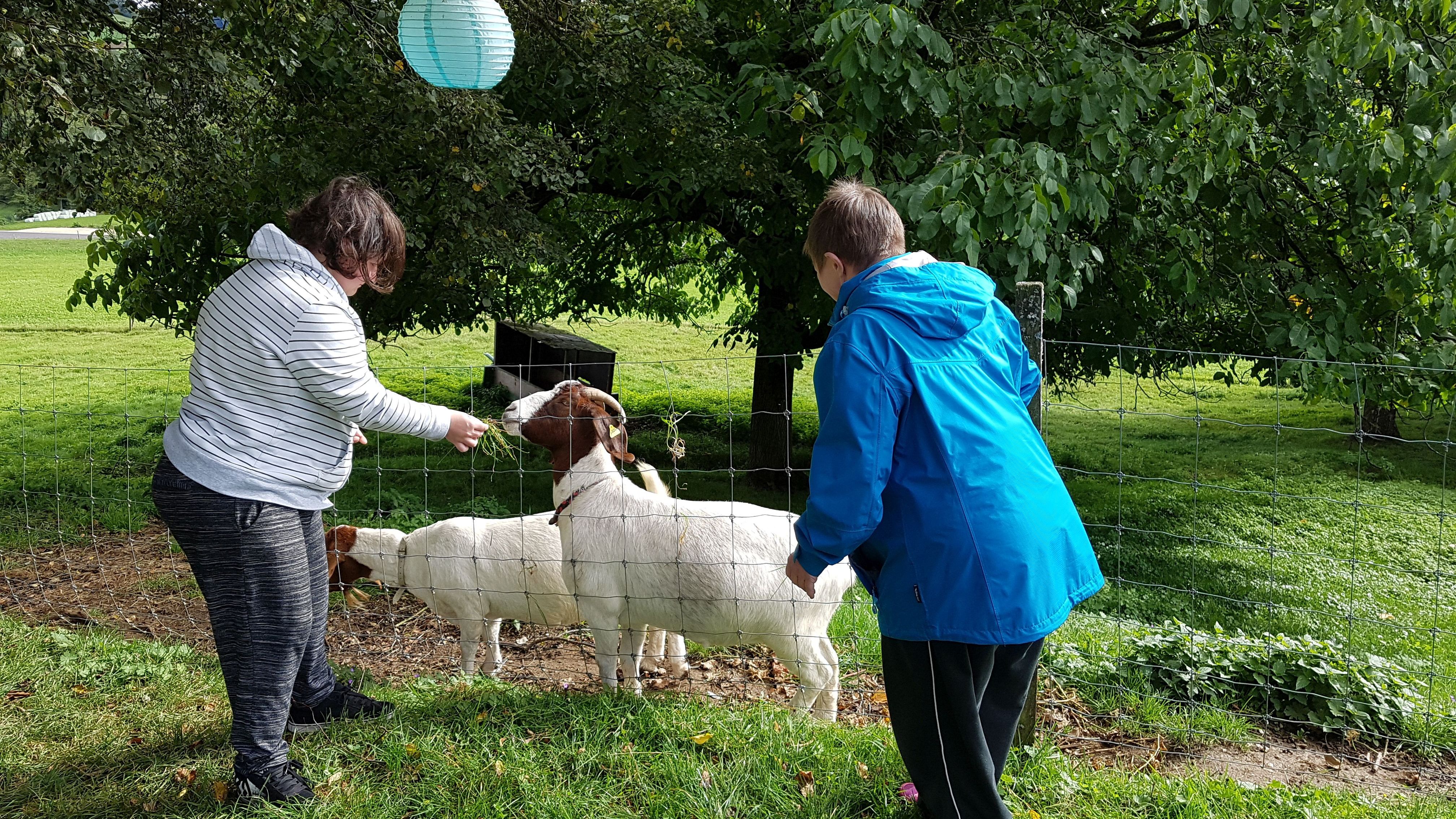 Neuer Lebenshilfe-Katalog erschienen