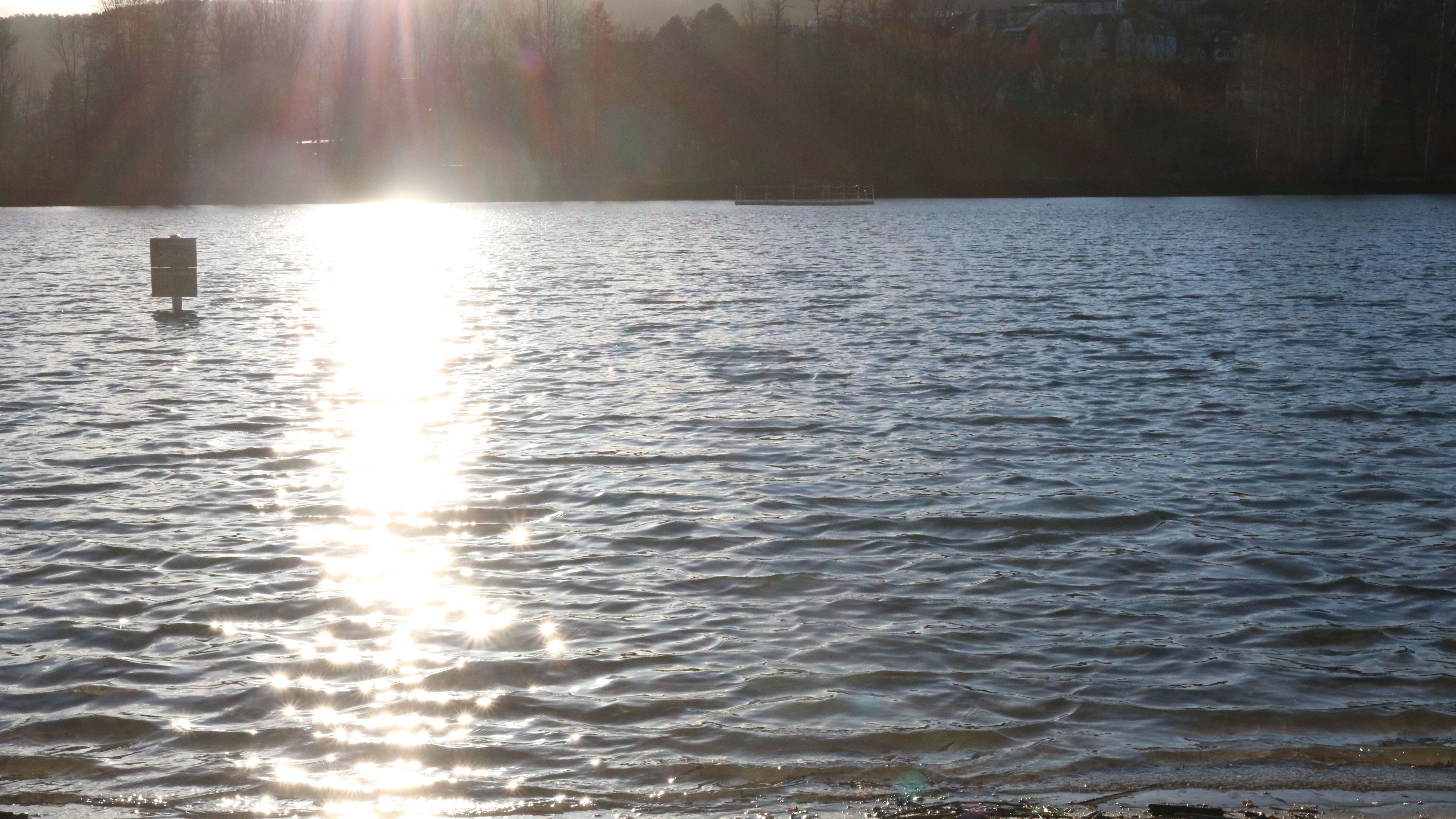Neujahrsschwimmen am Schleichersee
