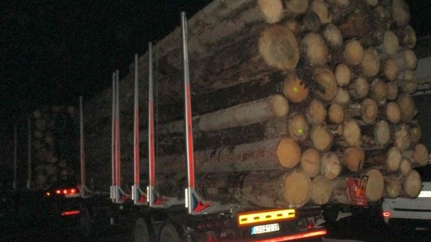 Holzlaster 22 Tonnen überladen 