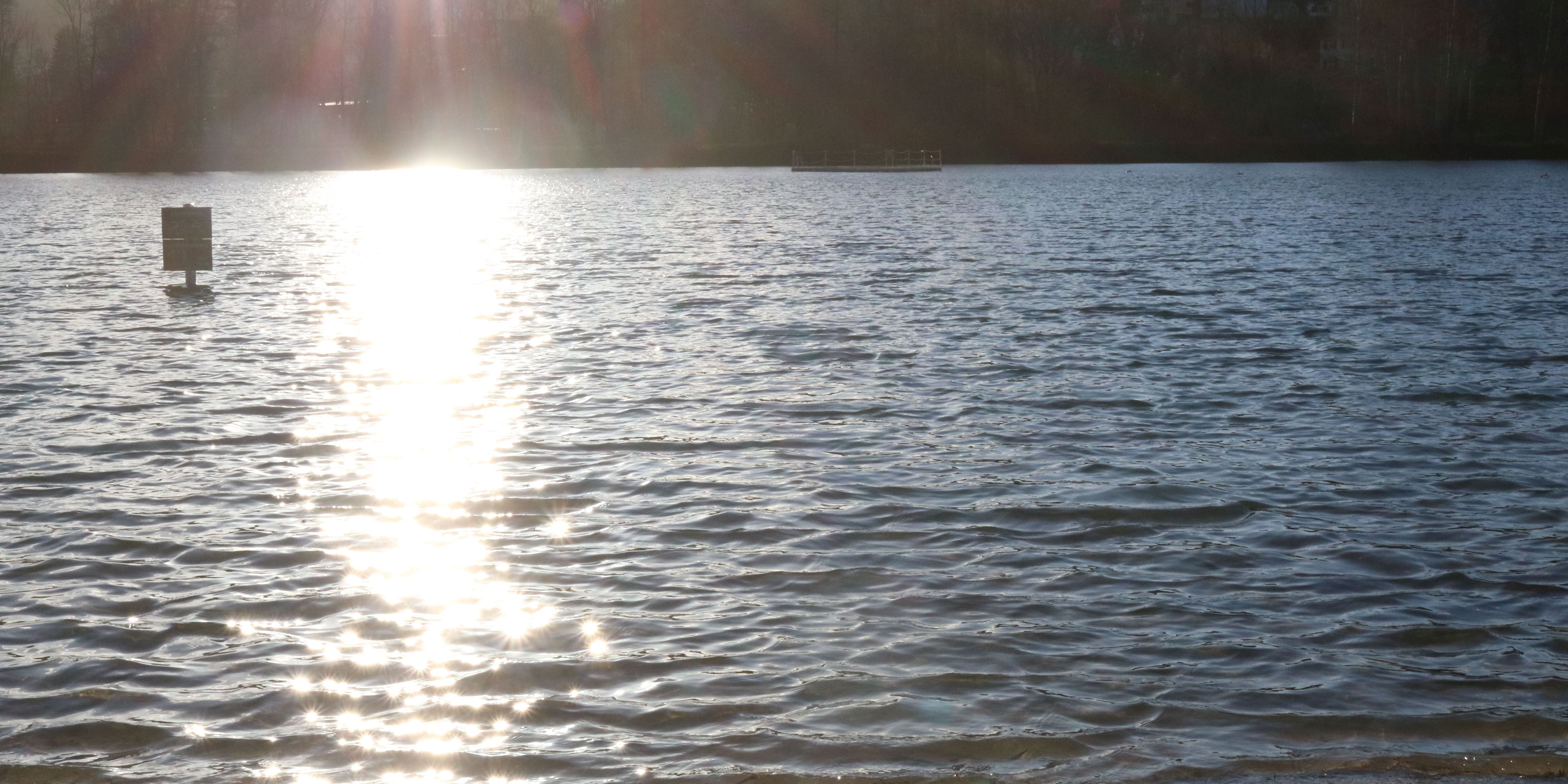 Neujahrsschwimmen am Schleichersee