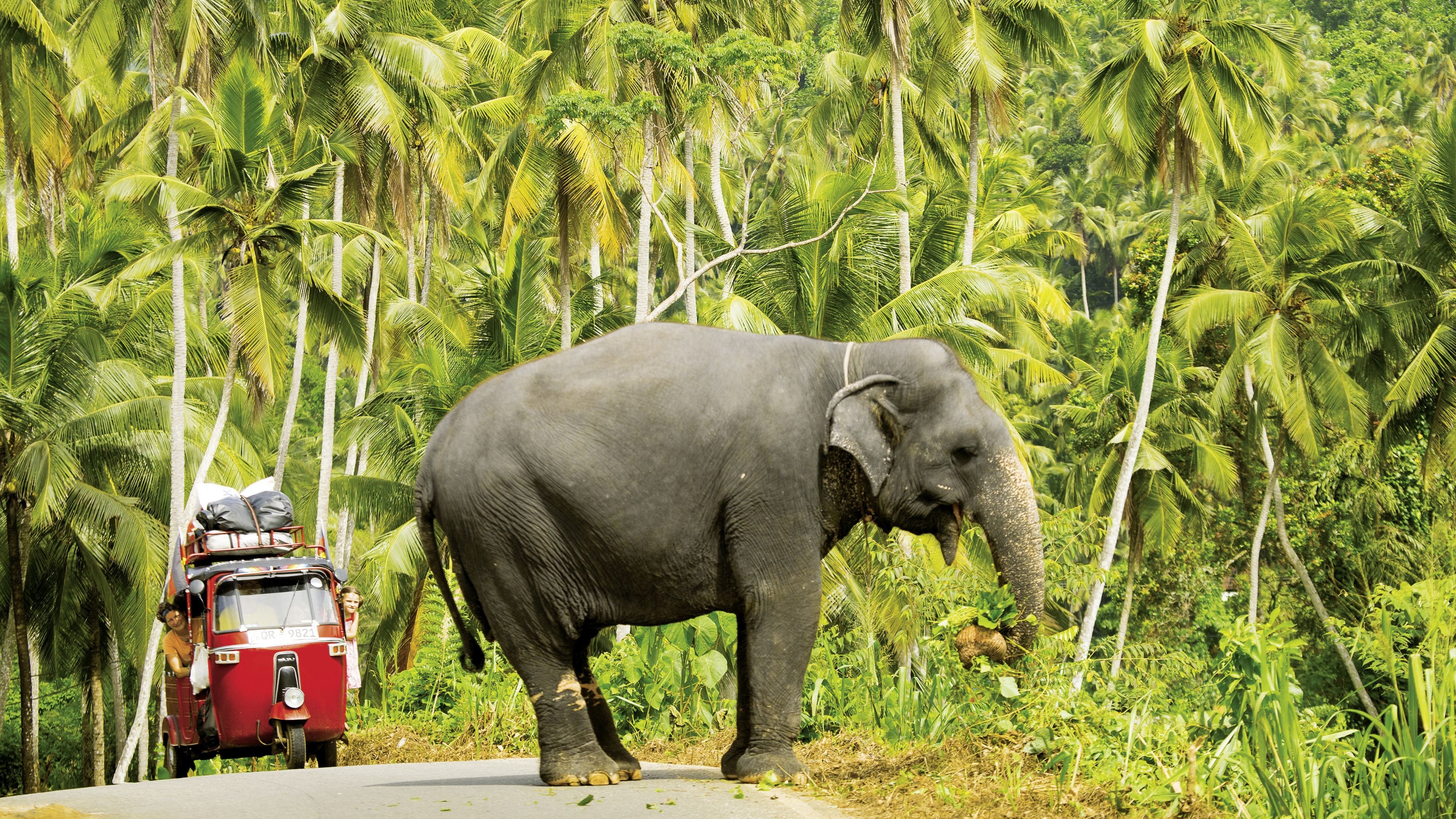 Lichtbildarena: Magische Orte für Jedermann