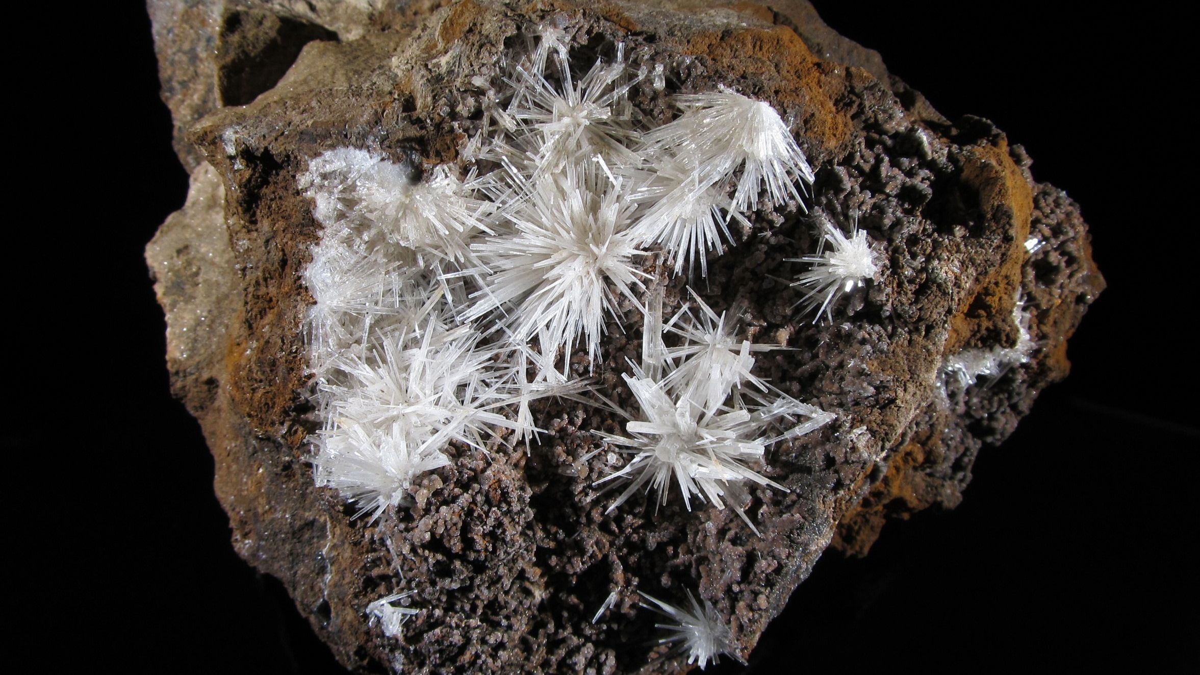 Mineralientreff im Januar