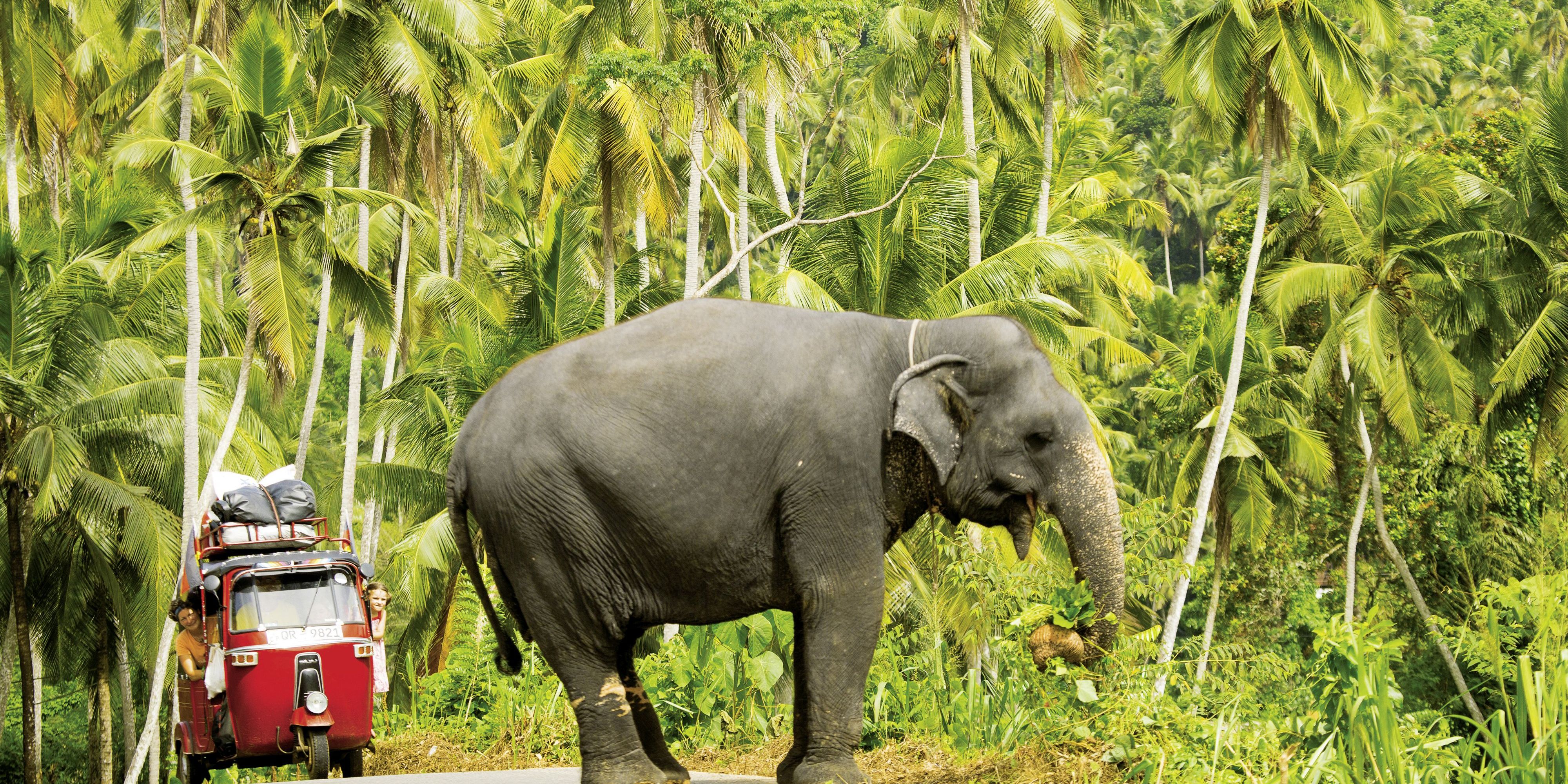 Lichtbildarena: Magische Orte für Jedermann