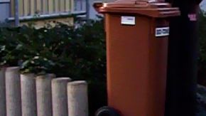 Biotonne: Maßnahmen gegen Festfrieren der Abfälle