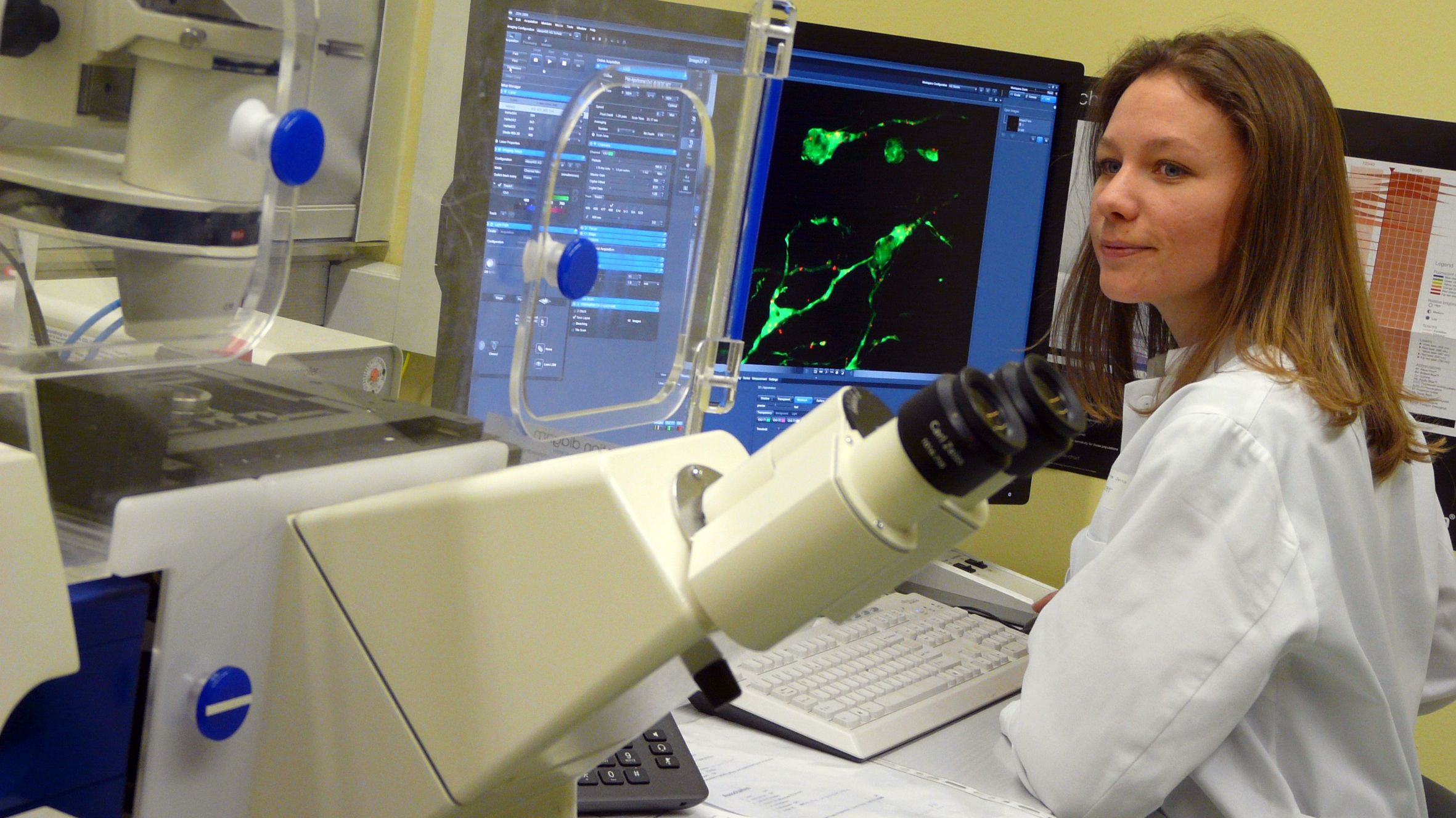 Es geht auch ohne Arrestin