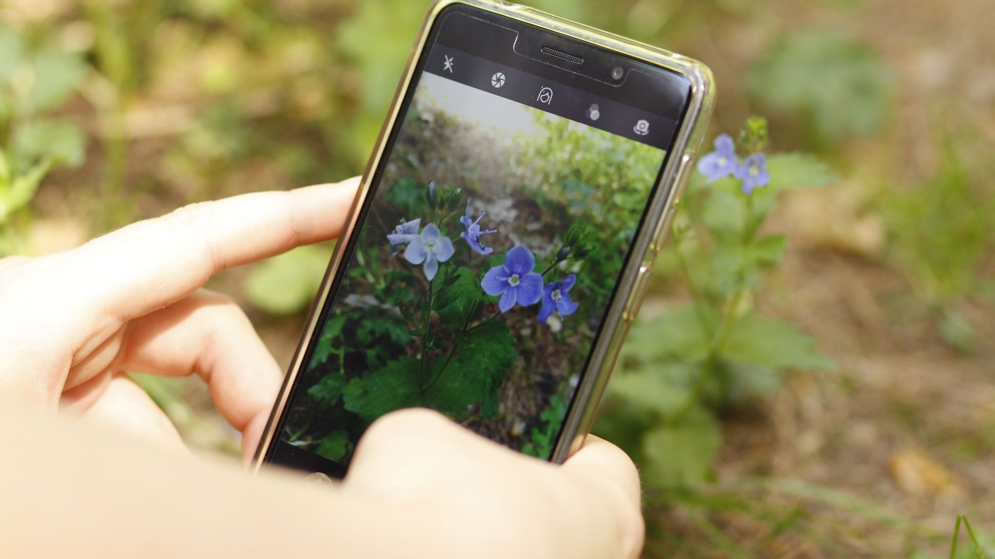 Anmeldung zum „Forsche Schüler Tag“ am Beutenberg 
