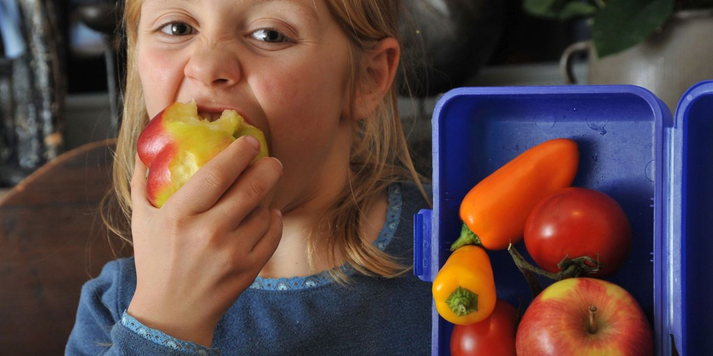 Messe-Exponate: Gesund und kreativ  