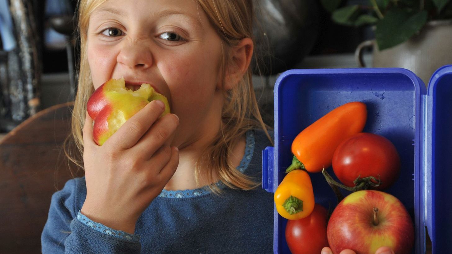 Messe-Exponate: Gesund und kreativ  