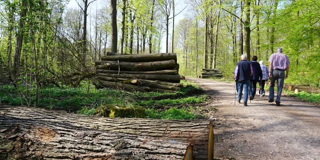 Achtung: Zeckenzeit beginnt