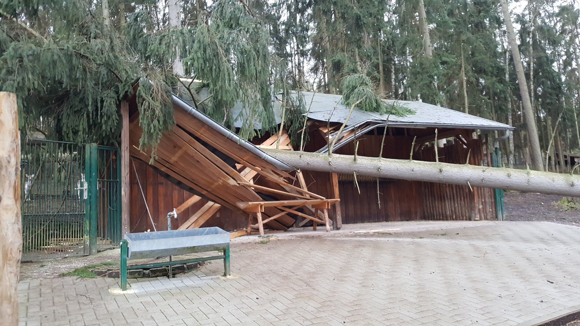 Tierpark Gera: 20 000 Euro Schaden durch Sturmtief 