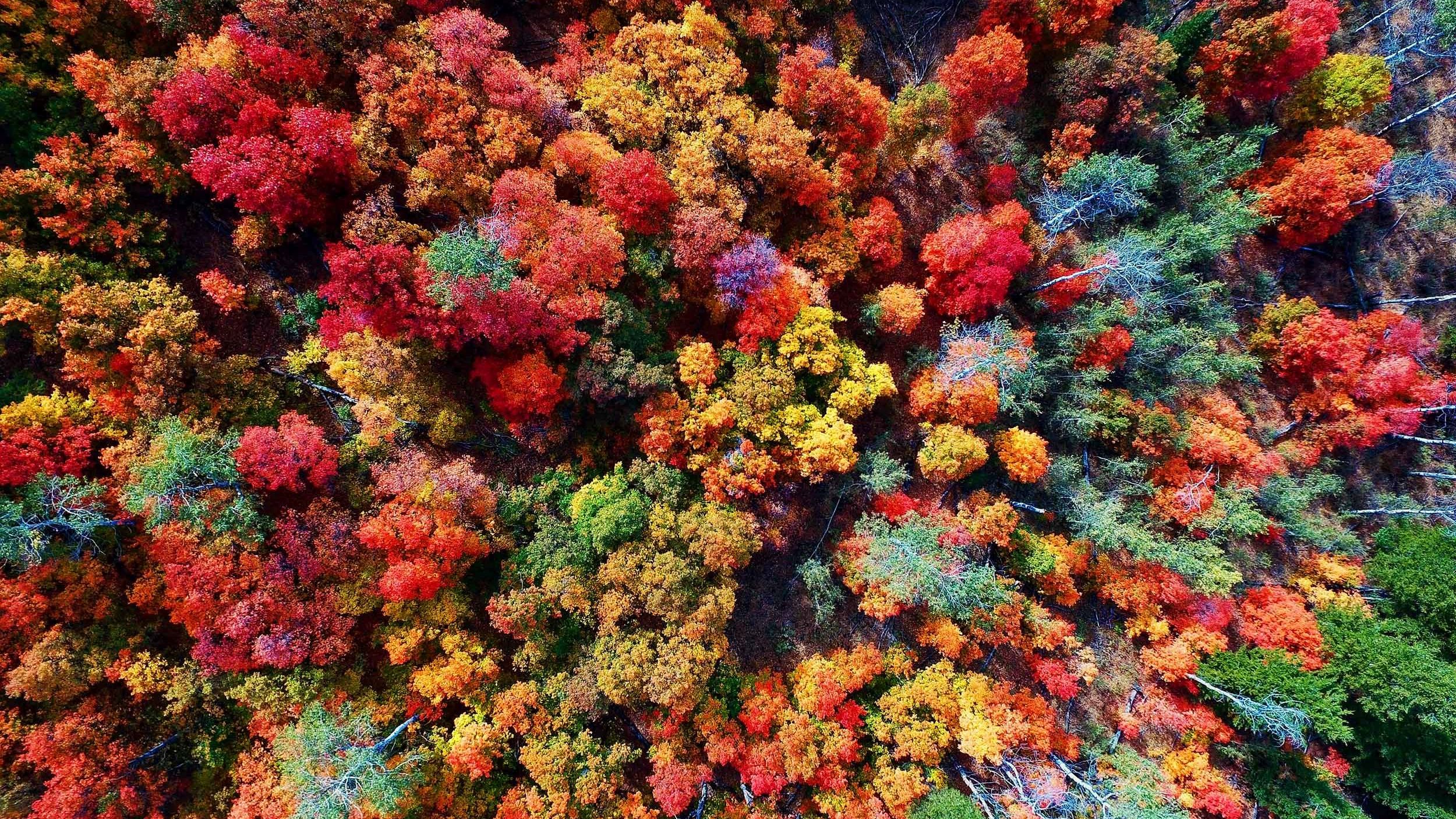 Universitätsbund auf Leipziger Buchmesse 