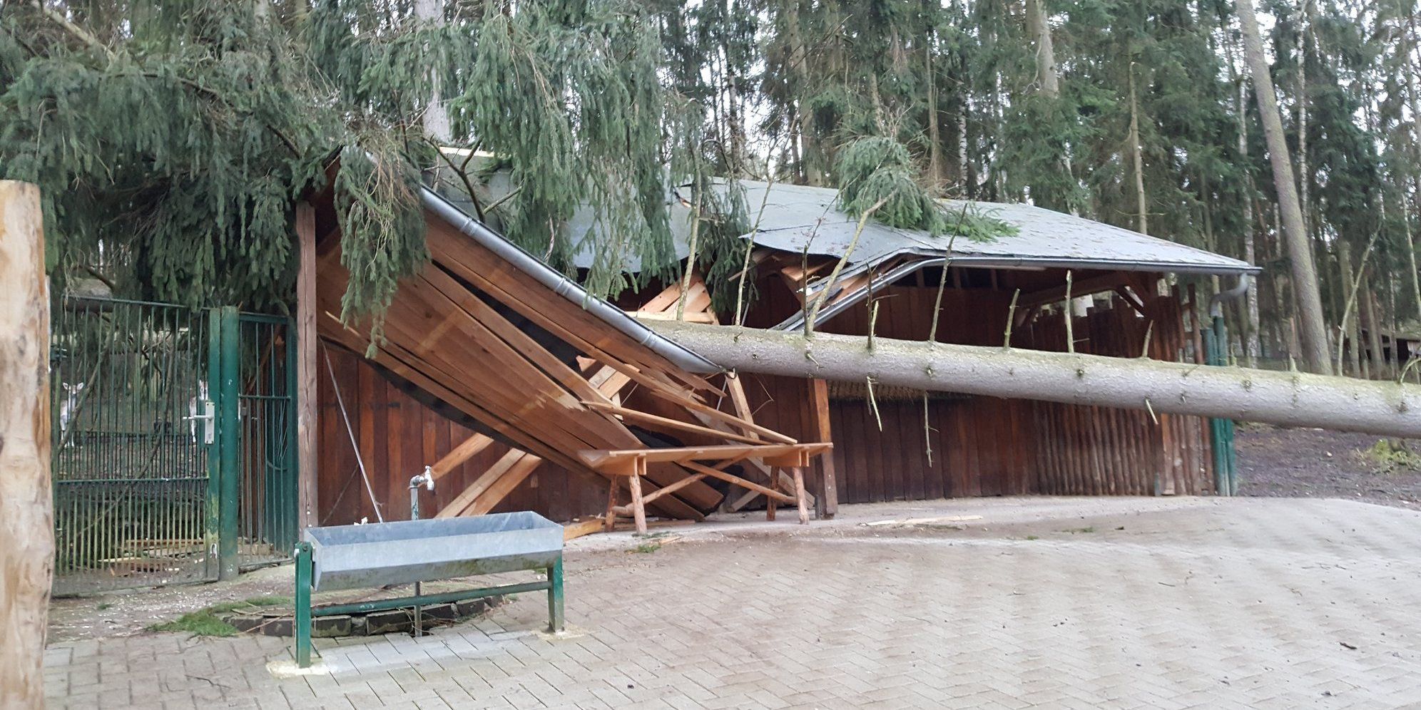 Tierpark Gera: 20 000 Euro Schaden durch Sturmtief 