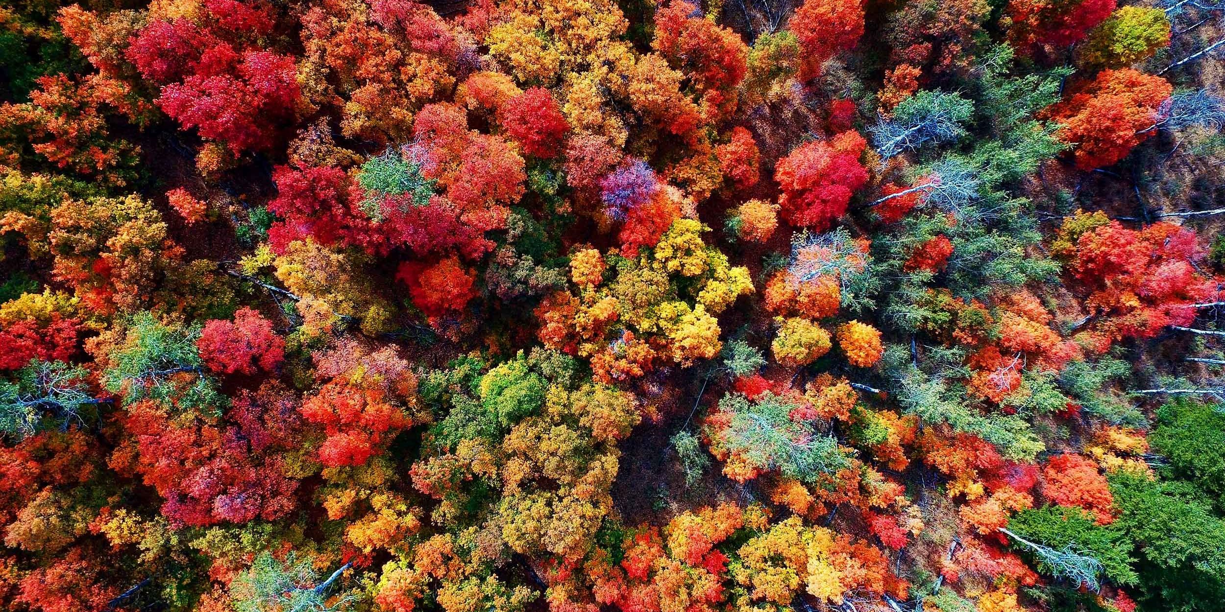 Universitätsbund auf Leipziger Buchmesse 