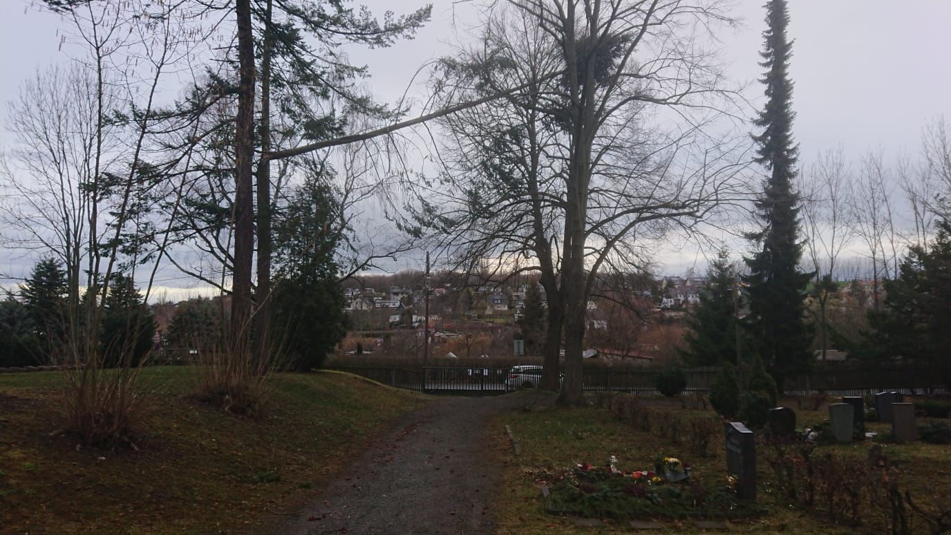 Sturmschäden im Tierpark und auf den Friedhöfen in Gera