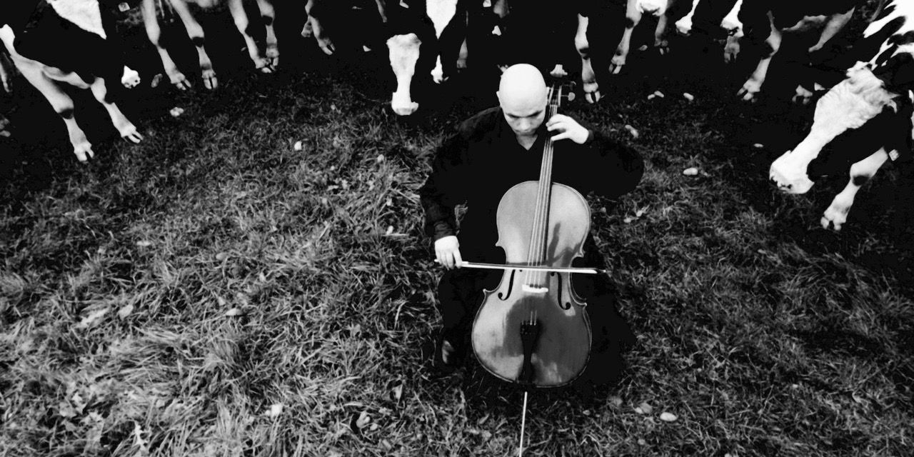 25. Auflage des Jenaer Jazzfrühlings