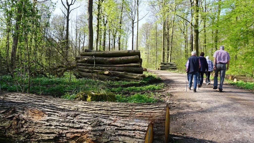 Achtung: Zeckenzeit beginnt