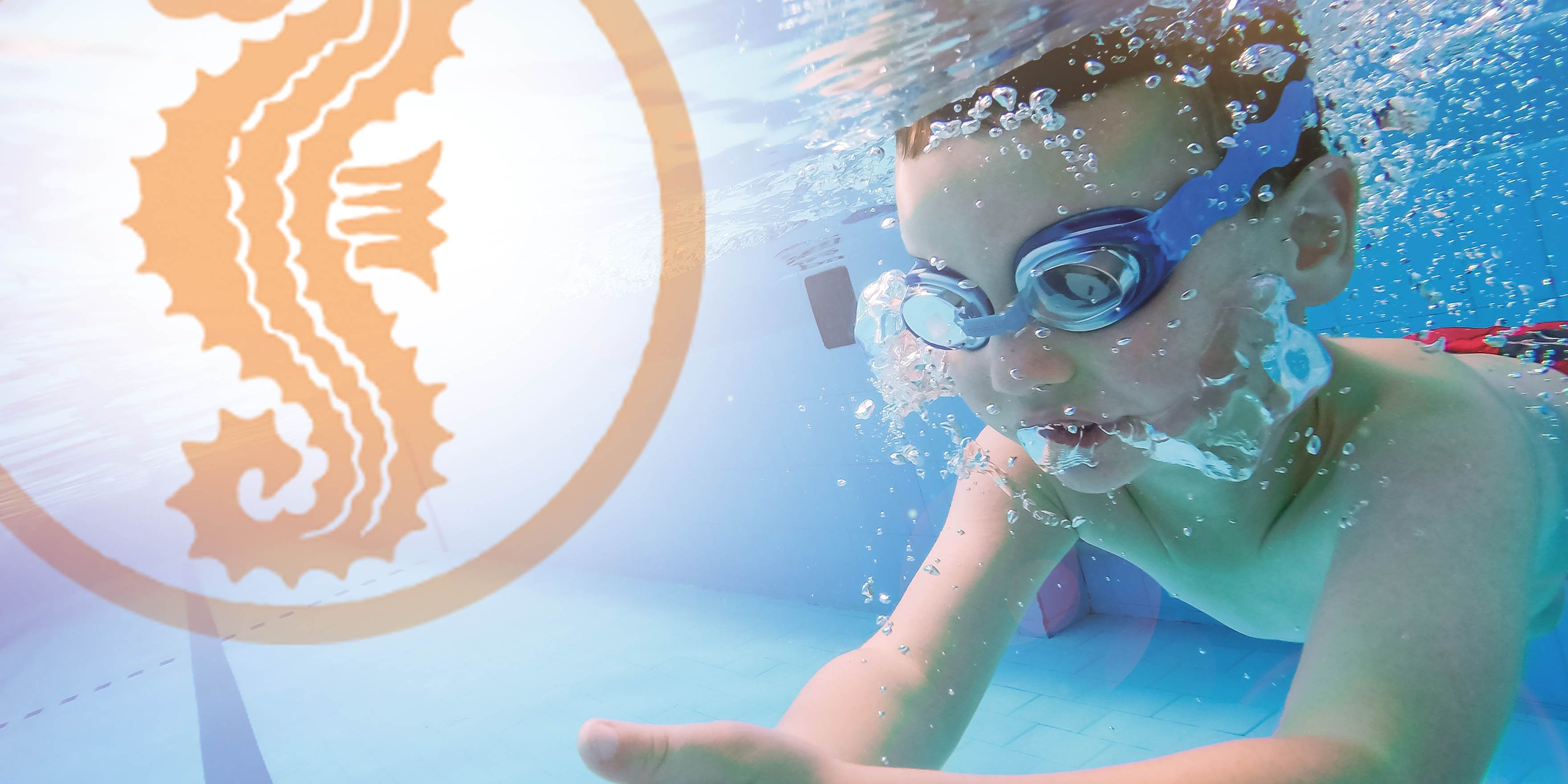 „Seepferchen“ ablegen 