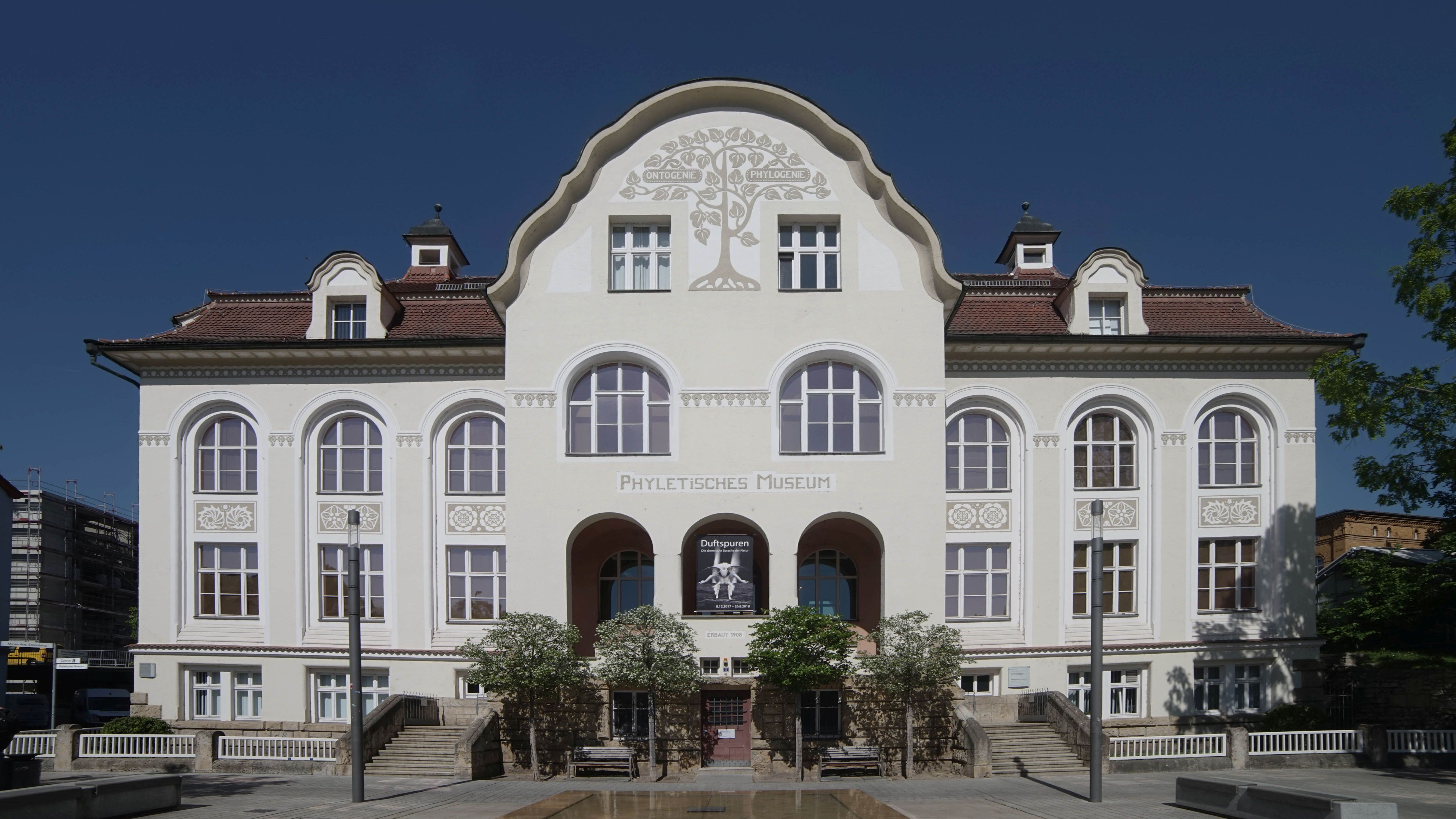 Baumaßnahmen im Phyletischen Museum
