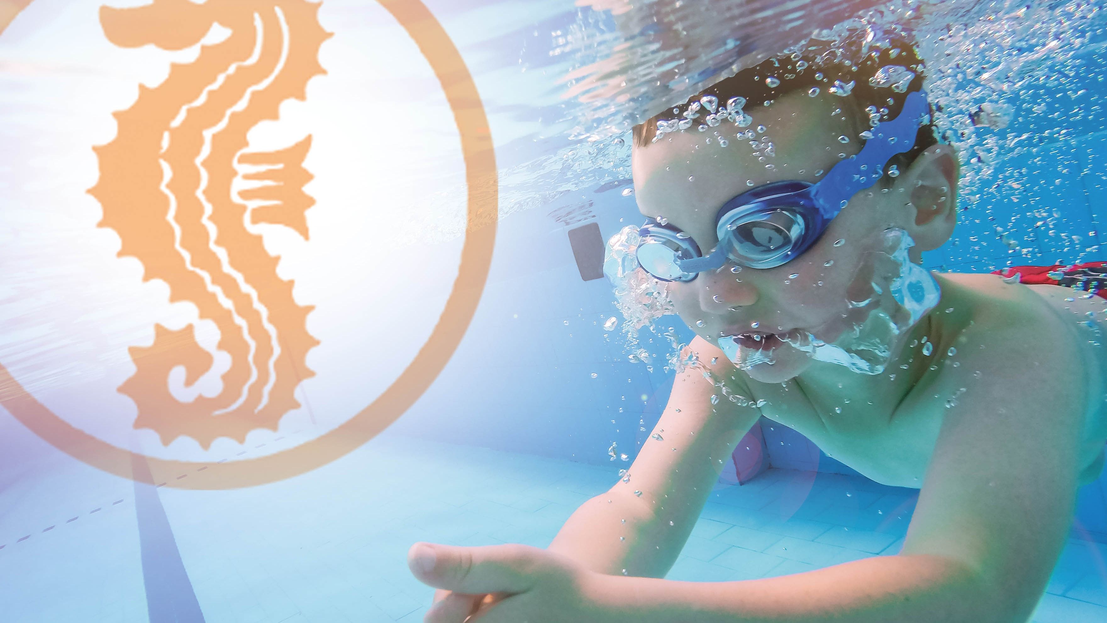 „Seepferchen“ ablegen 