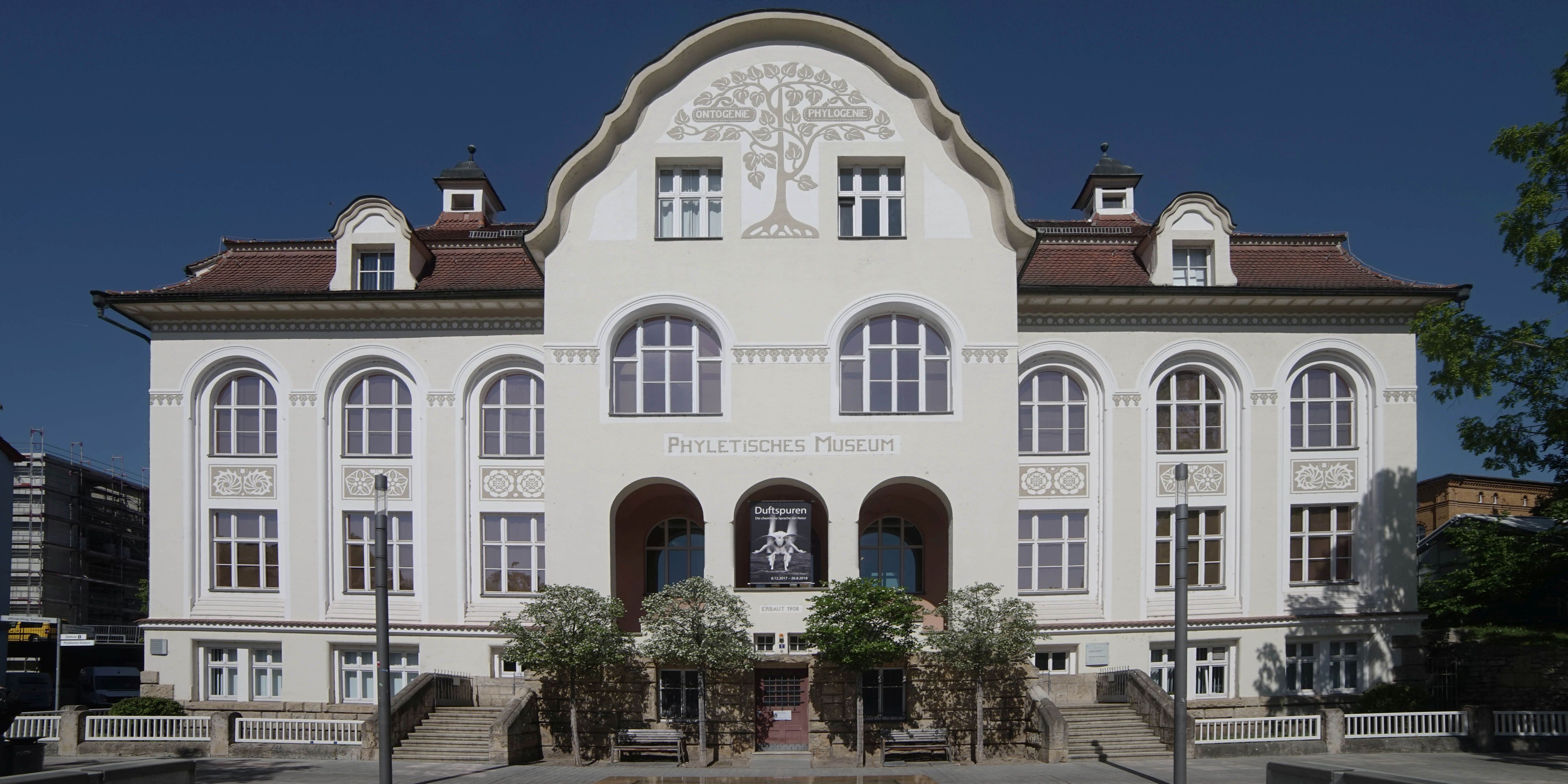 Baumaßnahmen im Phyletischen Museum