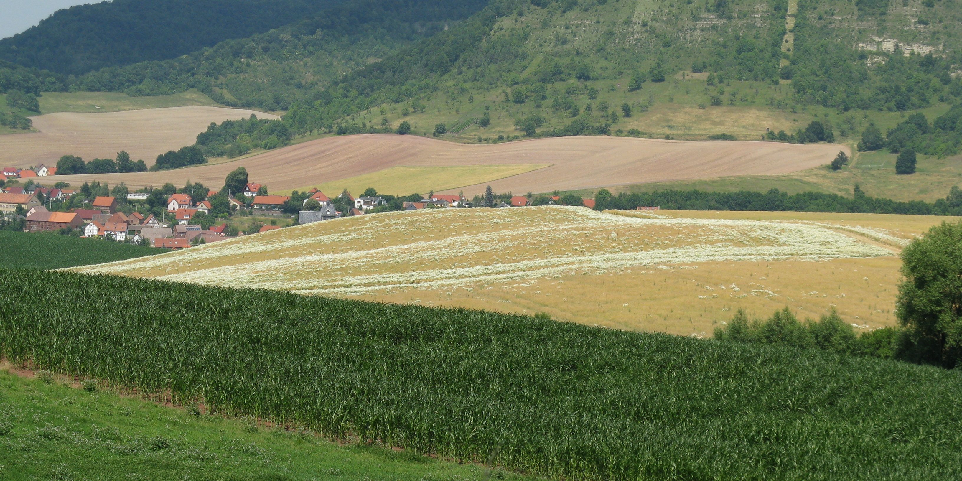 „Landschaftsbild Jena“ im Fokus