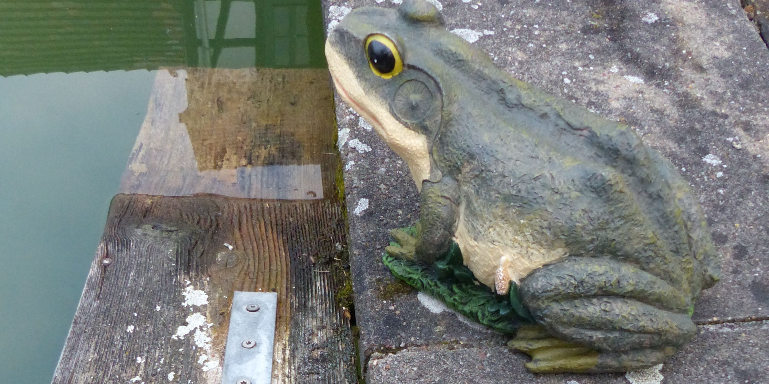 Vorsicht: Amphibienwanderung